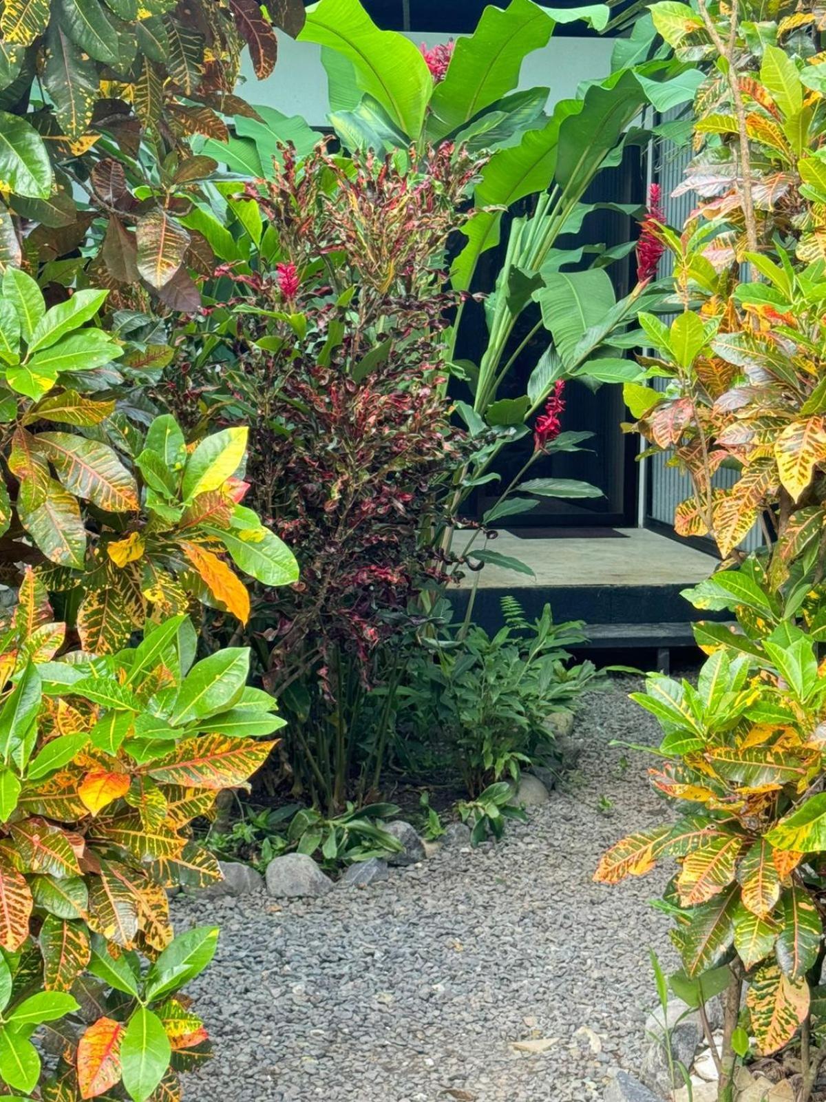 Luz De Estrella Studios Cabuya  Exterior foto