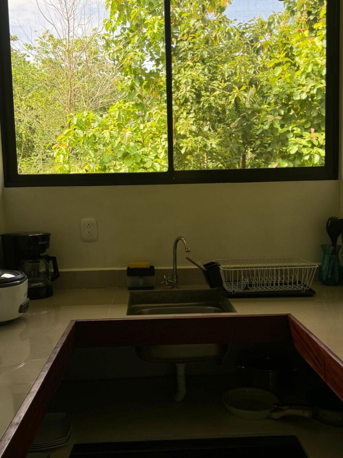 Luz De Estrella Studios Cabuya  Exterior foto